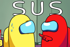 SUS meaning banner
