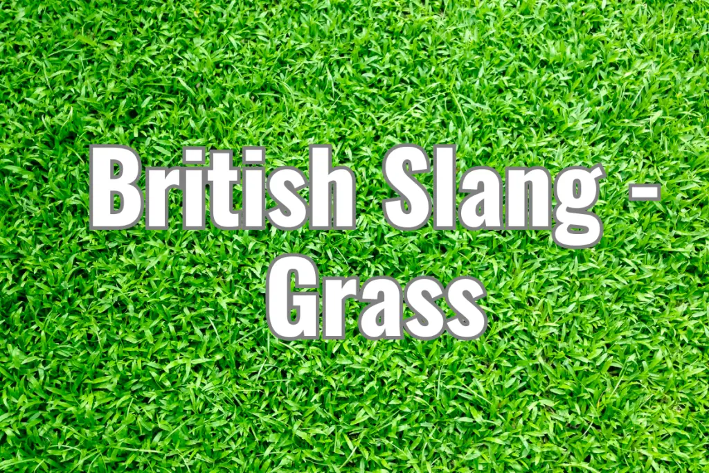british slang - grass meaning