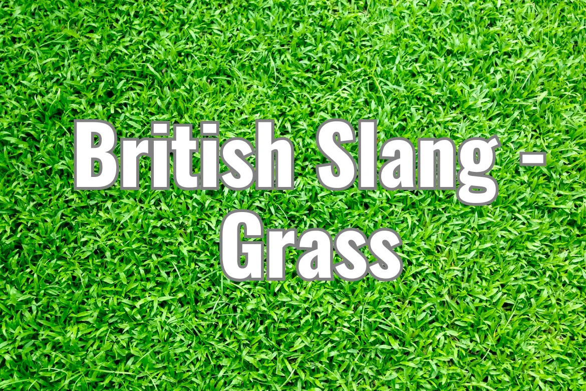 british slang - grass meaning